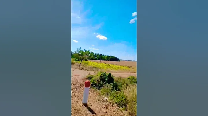 #viral #youtube #shortcontent #youtubeshorts #youtubevideo #viralreels #video