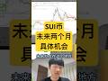 SUI币未来两个月的机会