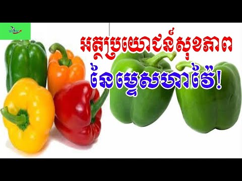 អ្វីដែលអ្នកត្រូវដឹងអំពីម្ទេសហាវ៉ៃ