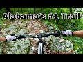 Bomb Dog Down Hill only MTB | Alabama’s #1 trail