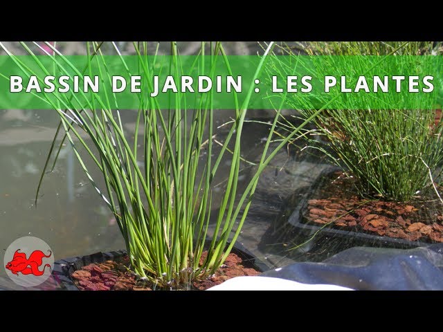 Garden pond - Installation of the tarpaulin 