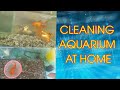 Cleaning Aquarium at Home