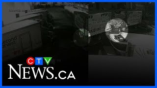 Second Harvest Staff Shaken By Truck Vandalism