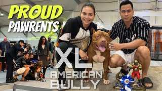 PANALO! Mr. BEAST XL AMERICAN BULLY at BULLYFEST SHOW • Sam Walastik