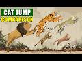 Cat Family Jump Height Comparison: From Poor Jumper Pallas' Cat to Athletic Snow Leopard