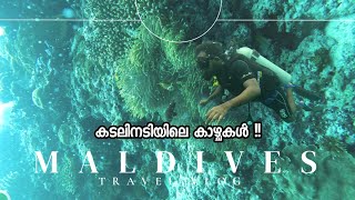 MALDIVES DIARIES| Exploring Maafushi Island | First Scuba diving experience| Dec 2023|Malayalam Vlog