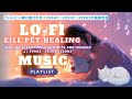 Lo-Hi chill Pet healing #music #lofi #love #song #salon#pets #Chill#café#528hz #dog #bgmi #癒し#犬#猫
