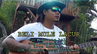 BELI MULE LACUR by bonceng bali
