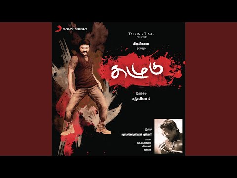 Yuvan Shankar Raja Pushpavanam Kuppusamy Suvi Anitha Vaadi Vaadi From Kazhugoo K Pop Lyrics Song k pop lyrics song