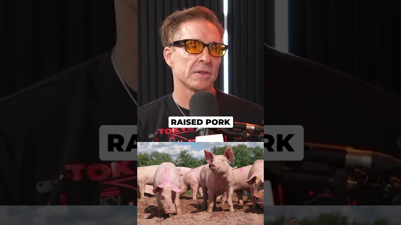 The best types of animal protein to eat (in order).