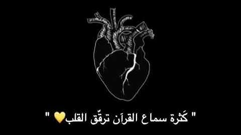 قرآن كريم بصوت محمد النقيب ❤❤-حالات واتس اب💙💎"