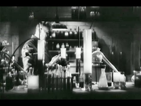 Mad Scientist WereWolf Horror Movie The Mad Monster 1942