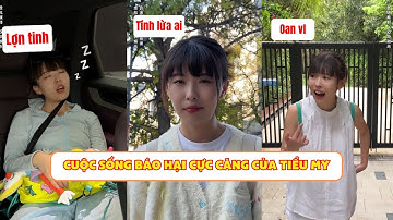 Cuộc Sống Báo Hại Đa Vũ Trụ Của Tiểu My (Cay cực) | Mỗi Ngày Một Hài #shorts