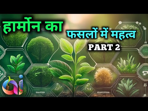 Plant hormone role in plants|| Auxin|| gibberellin|| cytokinin|| ethylene|| abscisic acid||