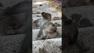 IMG 6114