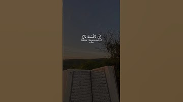 ياسر الدوسري تلاوة خاشعة ومؤثرة.       #تلاوة_خاشعة #راحة_نفسية #القرآن_الكريم #لايك #اكسبلور