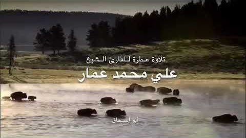 القارئ الشيخ علي محمد عمار