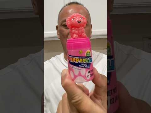 👂 ASMR PUPPYPALZ LOLLIPOP & CANDY POWDER WATERMELON FLAVOR AND EATING SOUNDS 👂 #asmr #shorts
