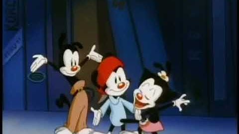 Animaniacs Songs- video review