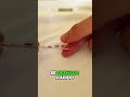 Truco increíble para rematar puntadas cortas sin que se deshagan 🔥 Costura fácil