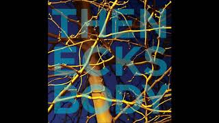 The Necks-Body(full album)