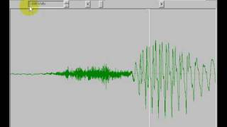 Famous Tasko Speech Lab: Using TF32 software - Part 2 Time and Amplitude Scaling Net Worth