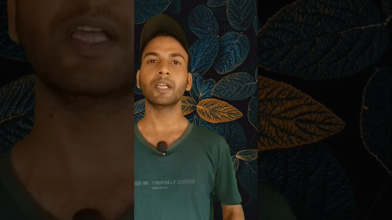 How To Make Money Fast(With 3 Simple Low Risk Investment Ideas) 