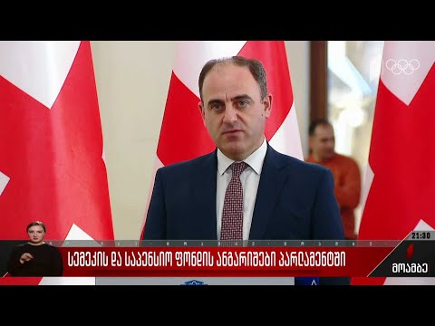 სემეკ-ის და საპენსიო ფონდის ანგარიშები პარლამენტში