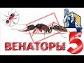 Муравьи Harpegnatos venator. Опасная Уборка