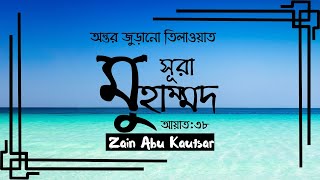 সূরা মুহাম্মাদ (Surah Muhammad) এর অন্তর জুড়ানো তিলাওয়াত  ┋Zain Abu Kautsar ┋Zannat