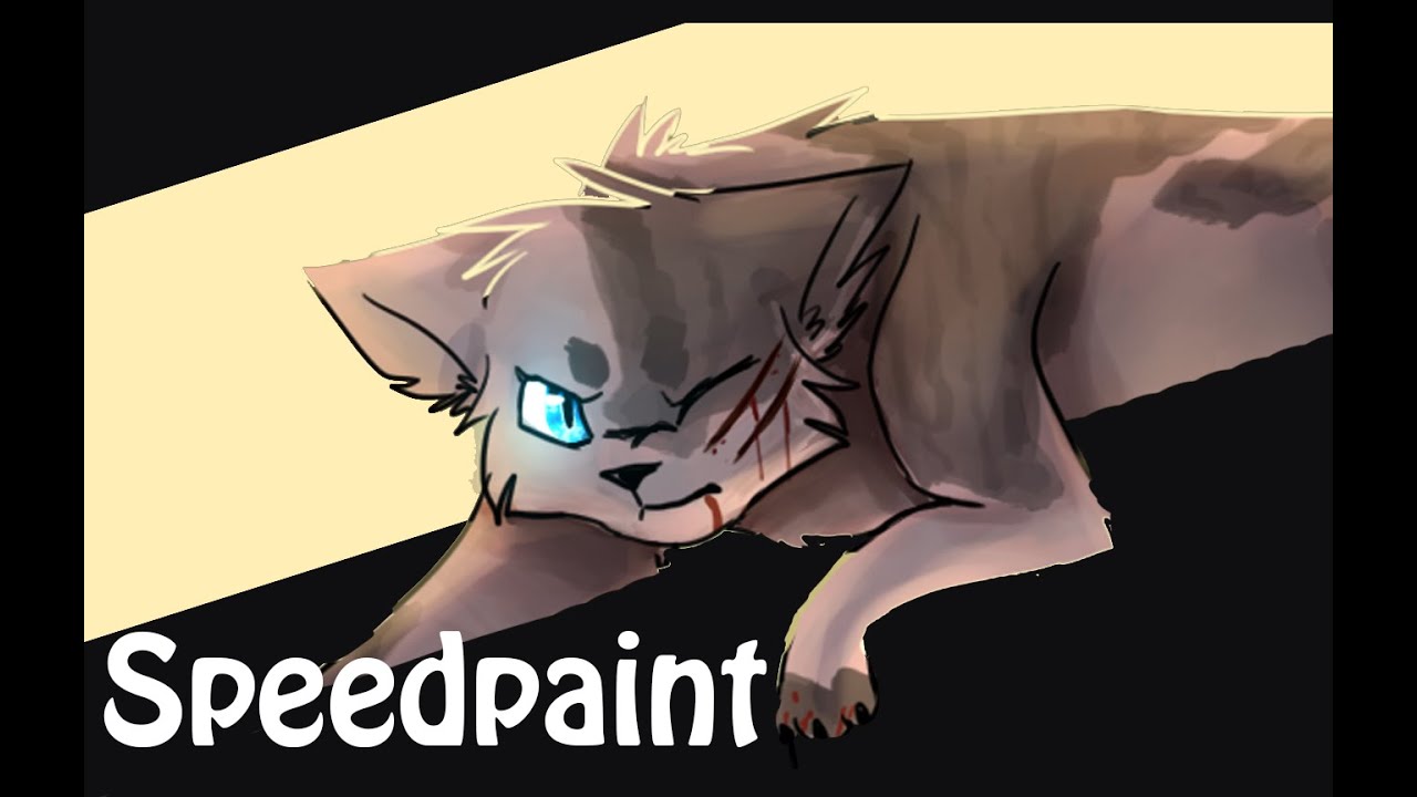 Ivypool Speedpaint