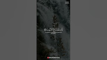 الشيخ محمد صديق المنشاوي | آل عمـران #الشيخ #المنشاوي #سورة