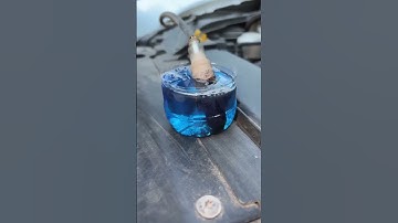 Abnormal engine vibration, free solution |Abnormal Engine Vibration? Fix It for Free! 2025