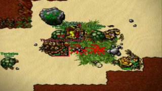 Tortoise Anti-Bot