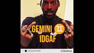 Gemini ♊ idgaf