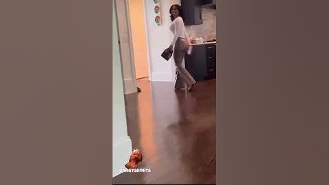 Tuson Loves To Watch Ari Fletcher Walk Away #shorts