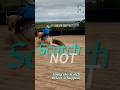 The #Stop & the #Scotch #train & #ride a #horse #fyp #reining #horsemanship #horselife #versatility