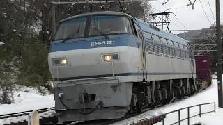 雪の関ヶ原越えに挑むEF66!スーパーライナー67レ(東京タ→東福山)
