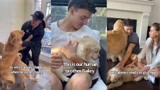 Golden Retrievers Are So In Love With Human Brother