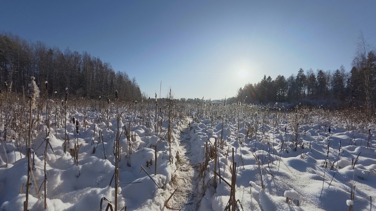 Rautpohjanlahti ja Haukanniemi