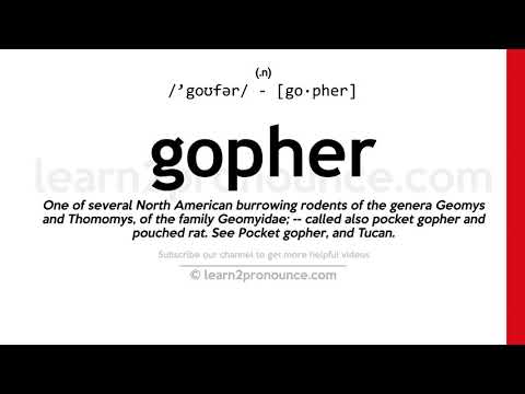 Произношение суслик | Определение Gopher