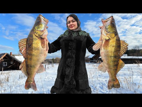 Видео: Тушенка из Судака в Стеклянных Банках! Самый Полезный Рыбный Суп из Голов Лосося