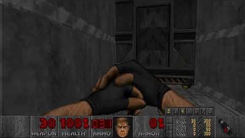 HOLY VAGINA EGGPLANTS:Brutal DOOM 2 RELOAD