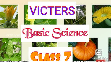 Victers Std 7 Basic Science Class1 2 June 2021First Bell 2.0
