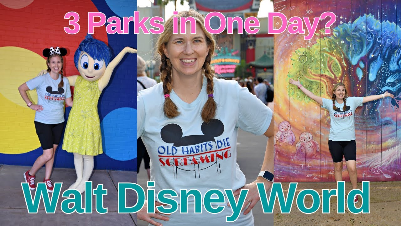 visiting-disney-world-on-a-holiday-hollywood-studios-too-crowded