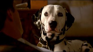 Watch This Dog Become The Hero Of Its Own Video Game Movie Recap