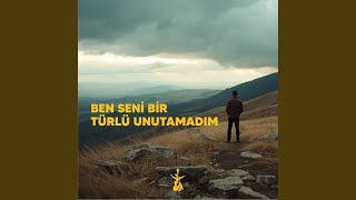 Ben Seni Bir Türlü Unutamadım