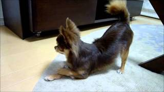 20120201.mp4