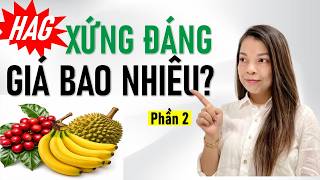 HAG - Câu chuyện hồi sinh hay chỉ là kỳ vọng? Phần 2