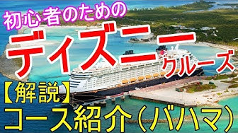 ディズニークルーズ Youtube